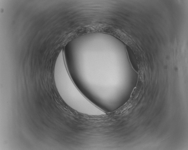 X0000080131010200612080950