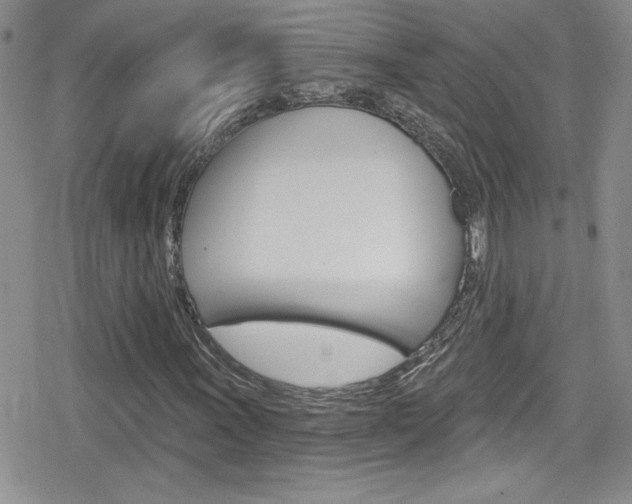 X0000080131011200612080950