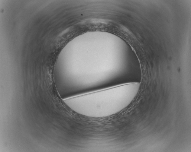 X0000080131013200612080950