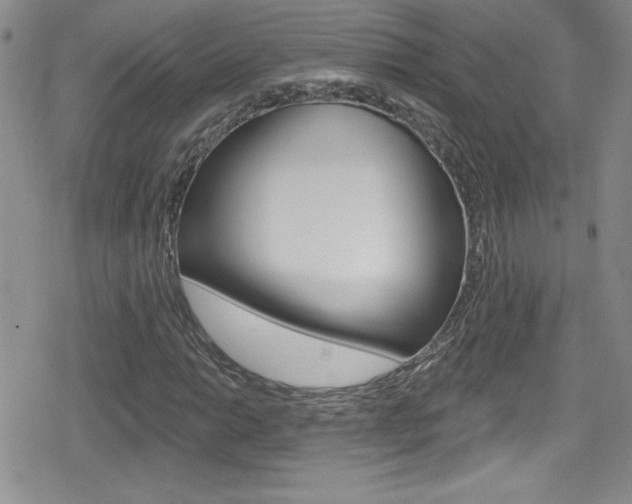 X0000080131014200612080950