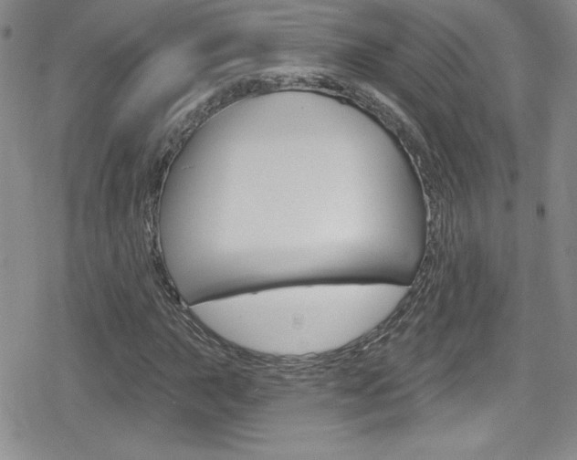X0000080131015200612080951