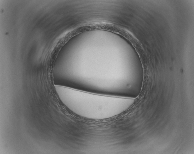 X0000080131016200612080951