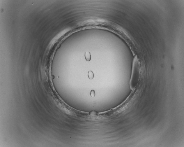 X0000080131018200612080951
