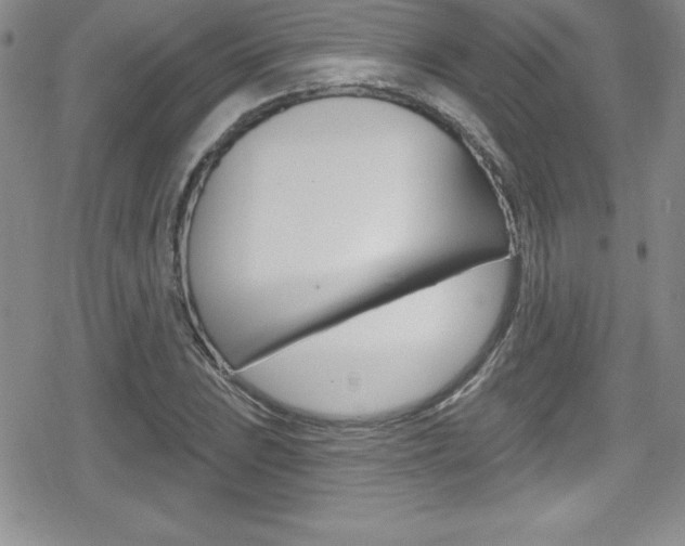 X0000080131023200612080951