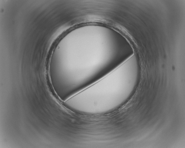 X0000080131024200612080951