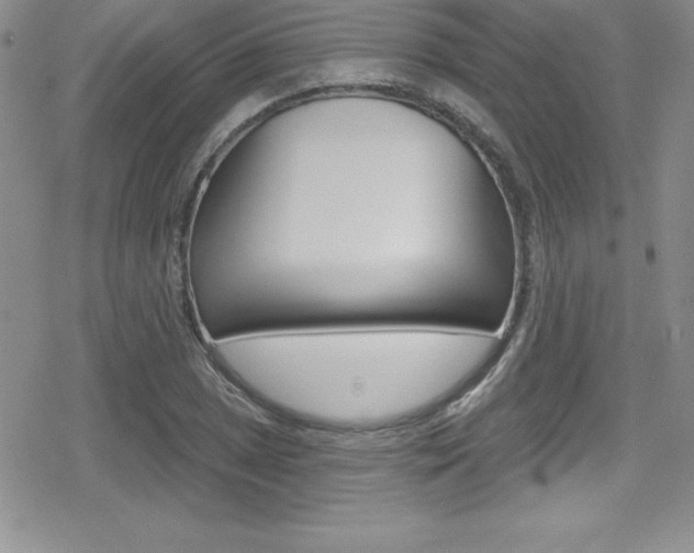 X0000080131025200612080951