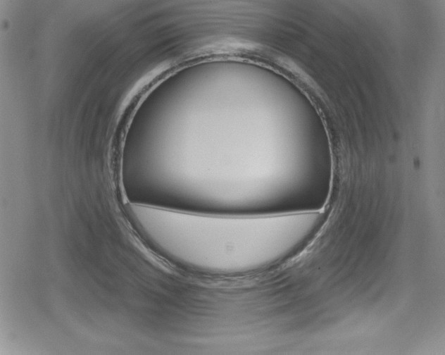 X0000080131026200612080951
