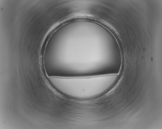 X0000080131029200612080951