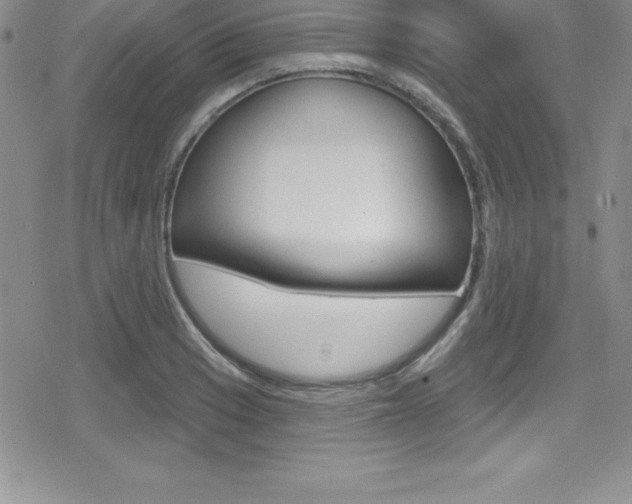 X0000080131033200612080951