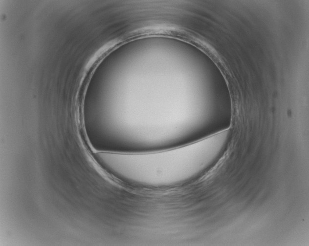 X0000080131034200612080951
