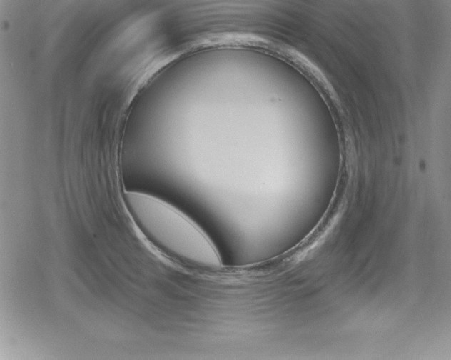 X0000080131041200612080951