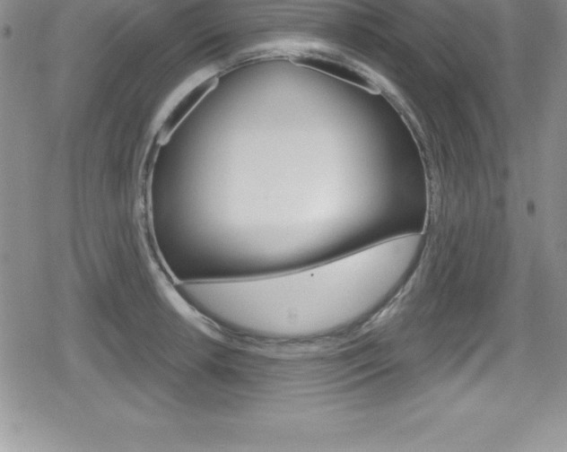 X0000080131042200612080951