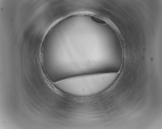 X0000080131044200612080951