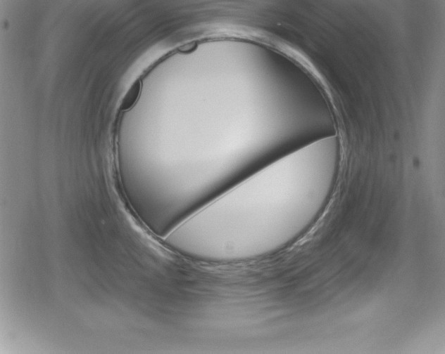 X0000080131048200612080951