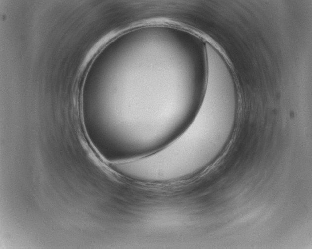 X0000080131054200612080951