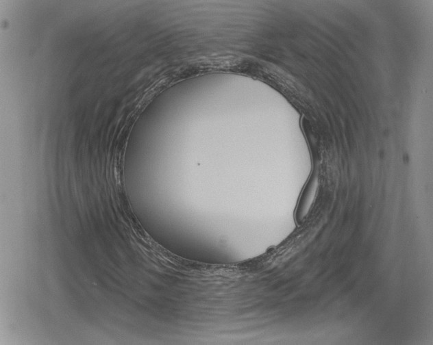 X0000080131058200612080950