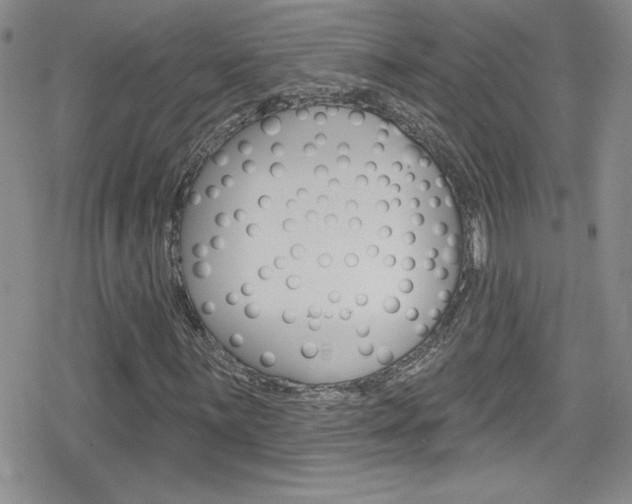 X0000080131059200612080950