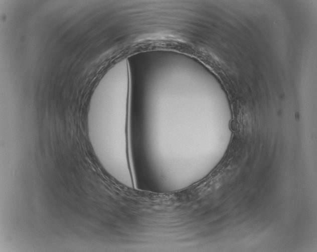 X0000080131062200612080950