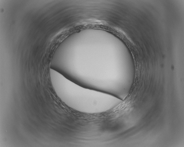 X0000080131063200612080950