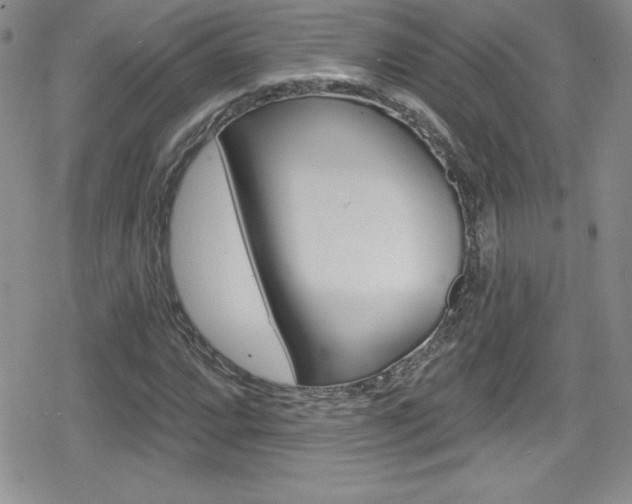 X0000080131064200612080950