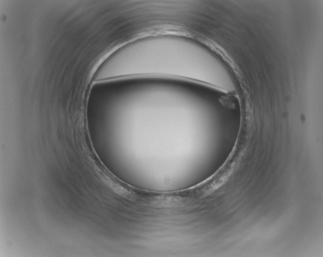 X0000080131081200612080950