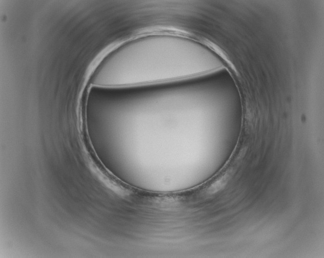 X0000080131082200612080950