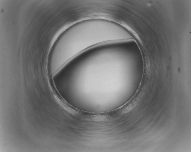 X0000080131085200612080950
