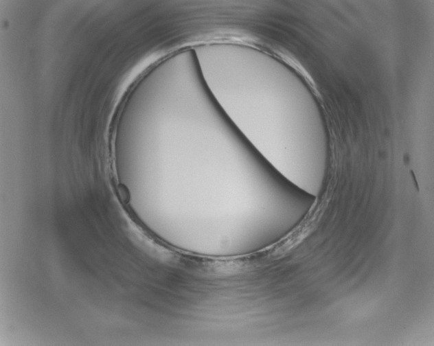 X0000080131087200612080950