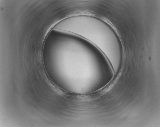 X0000080131089200612080950
