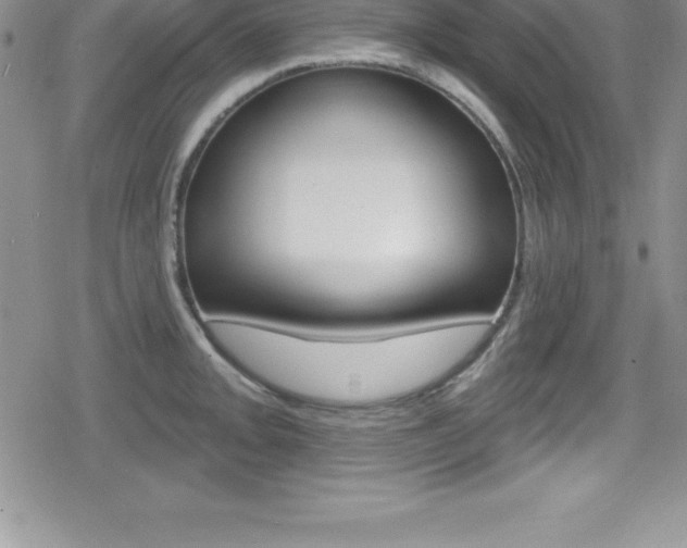 X0000080131093200612080950