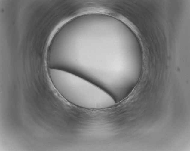 X0000080131104200612080950