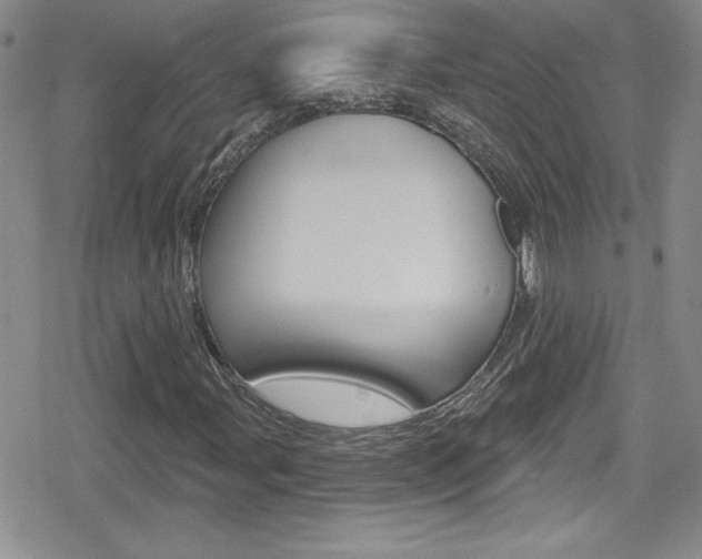 X0000080131107200612080949