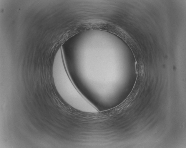 X0000080131108200612080949