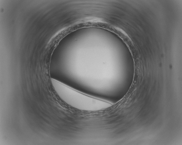X0000080131112200612080949