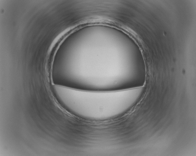 X0000080131120200612080949
