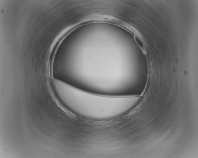 X0000080131128200612080949