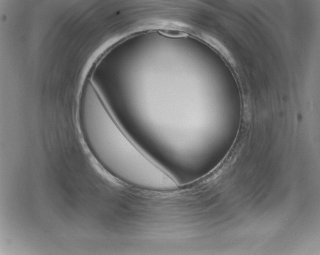 X0000080131136200612080949
