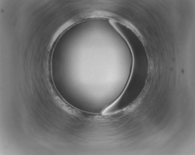 X0000080131138200612080949