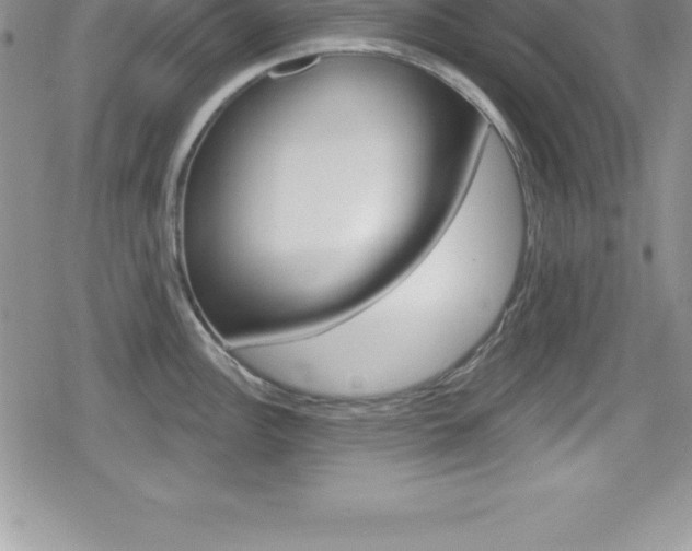 X0000080131148200612080950
