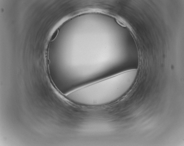 X0000080131151200612080950
