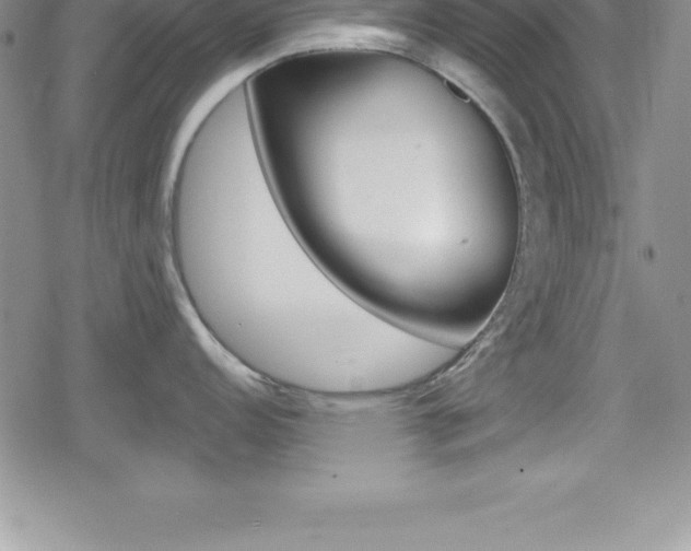 X0000080131152200612080950