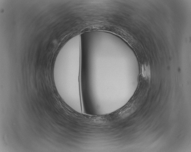 X0000080131155200612080949