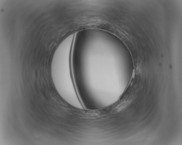 X0000080131156200612080949