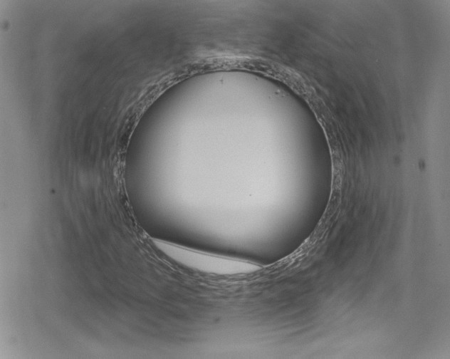 X0000080131157200612080949