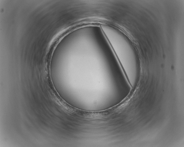 X0000080131164200612080949