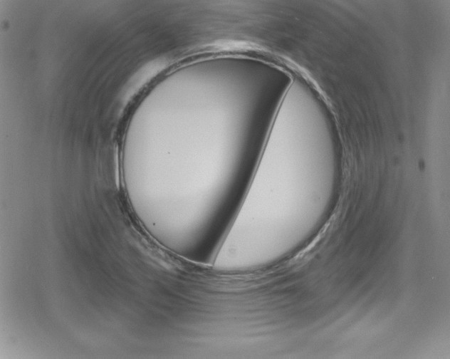 X0000080131171200612080949