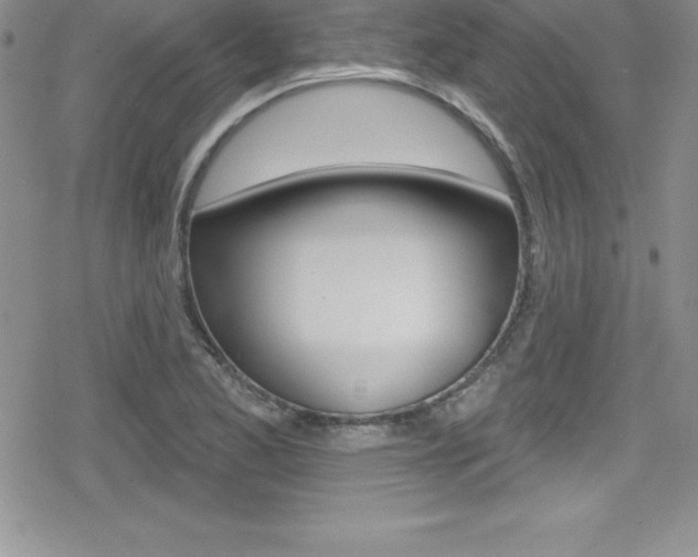 X0000080131173200612080948