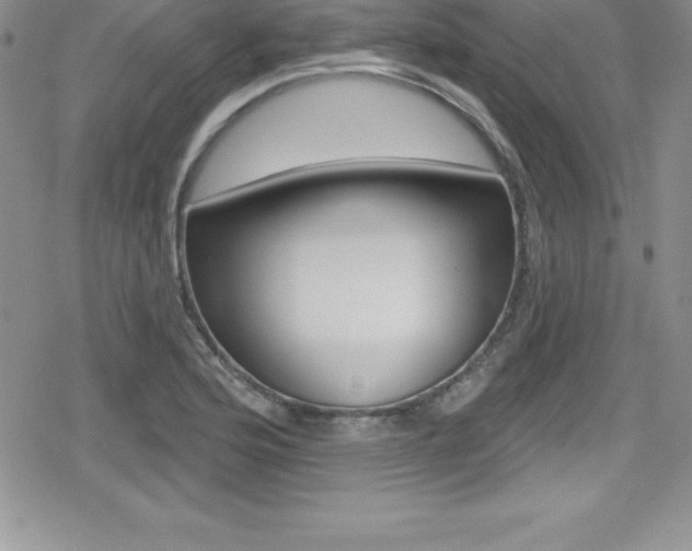 X0000080131176200612080948
