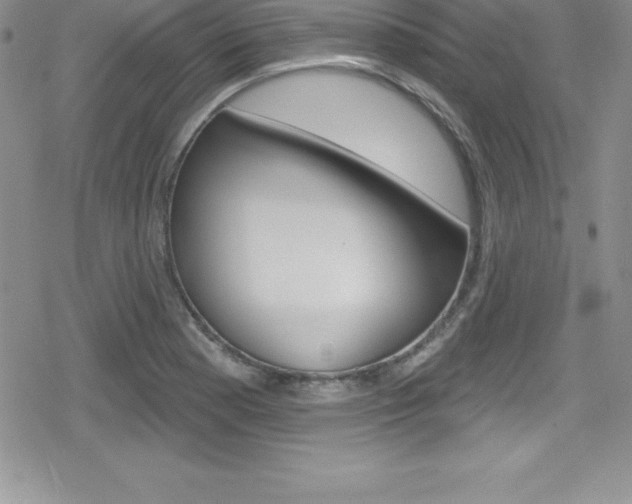 X0000080131177200612080948