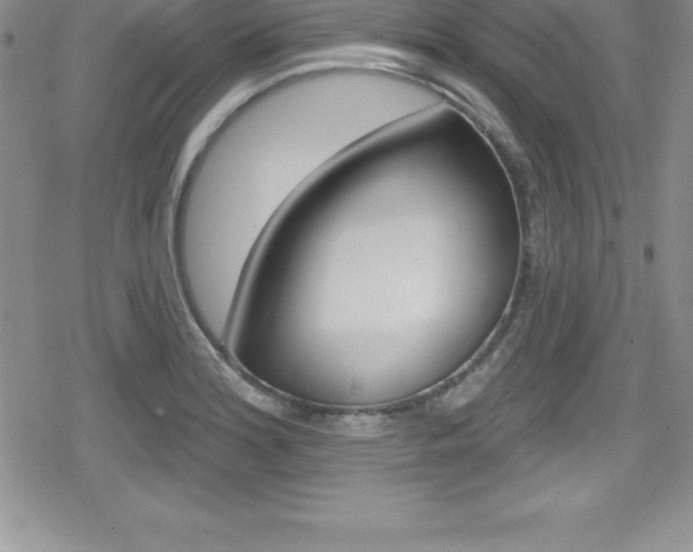 X0000080131180200612080948